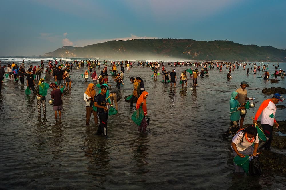 Festivals and events