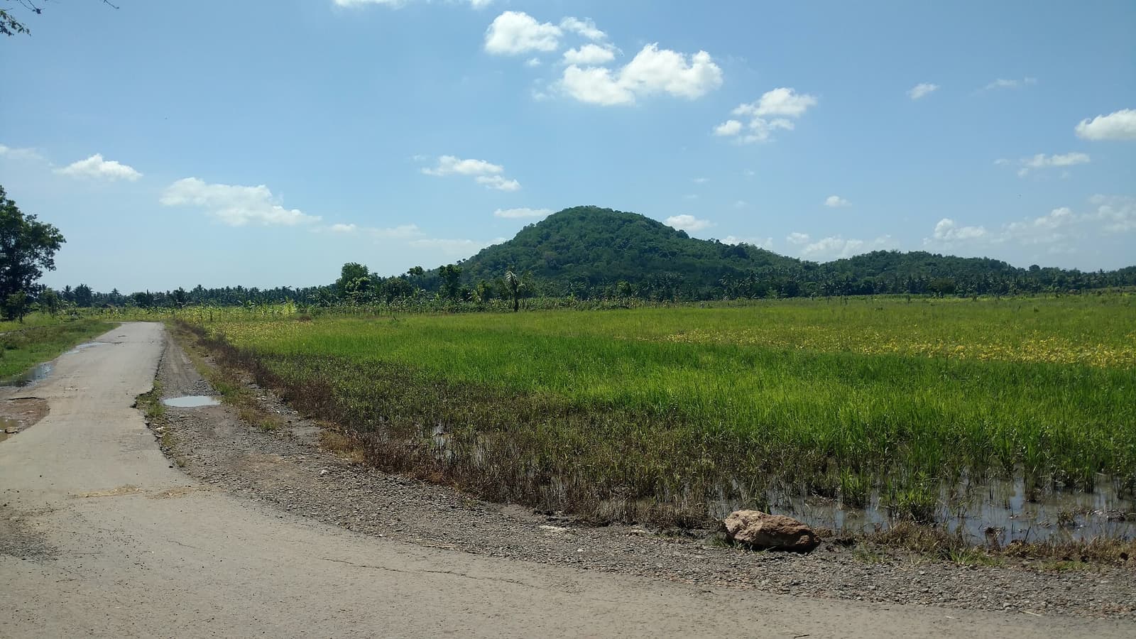 Tetebatu: Jungle & Waterfall Walking Tour with Village Visit