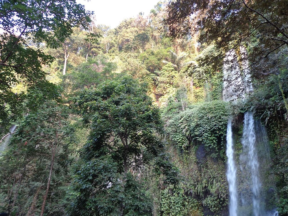 Tiu Kelep Waterfall, Bayan & Local Market Day Trip