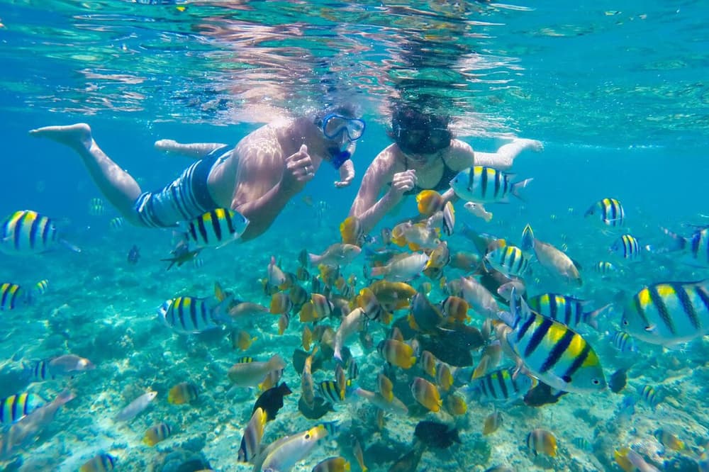 Private Snorkeling at Gili Nanggu, Sudak & Kedis