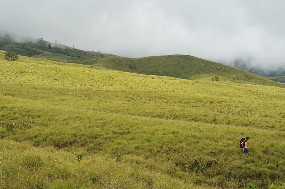 Mount Rinjani: 2-Day Summit Trek via Sembalun
