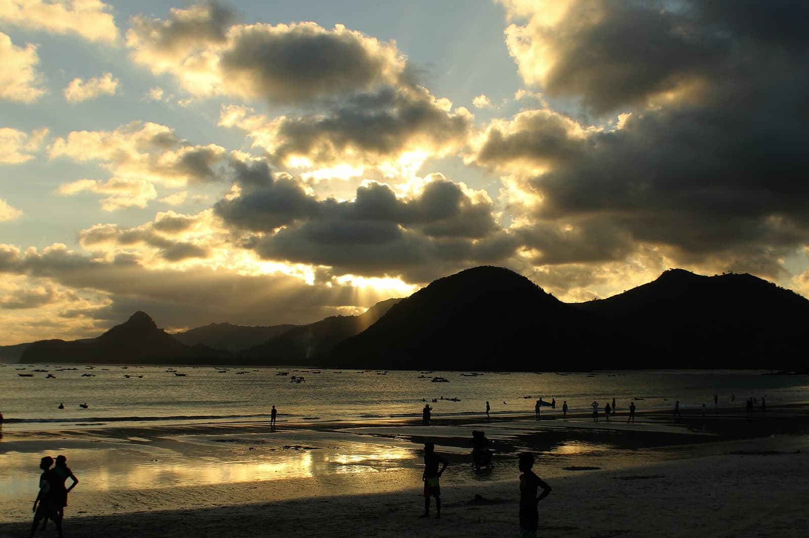 South Coast Beaches & Surf