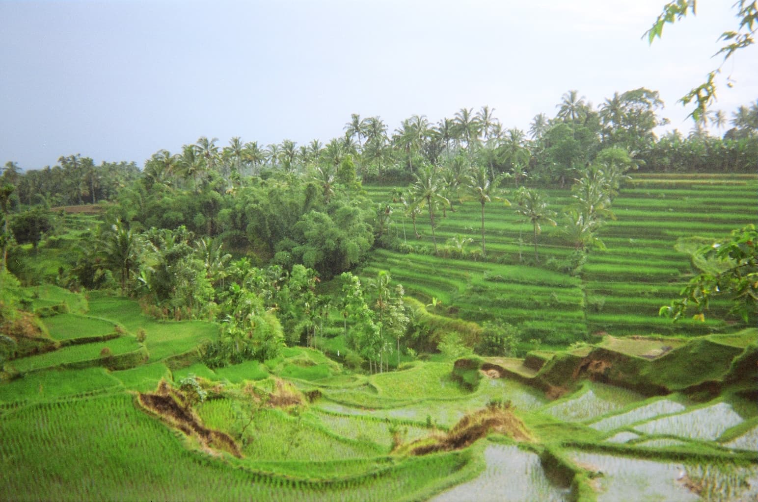 Tetebatu