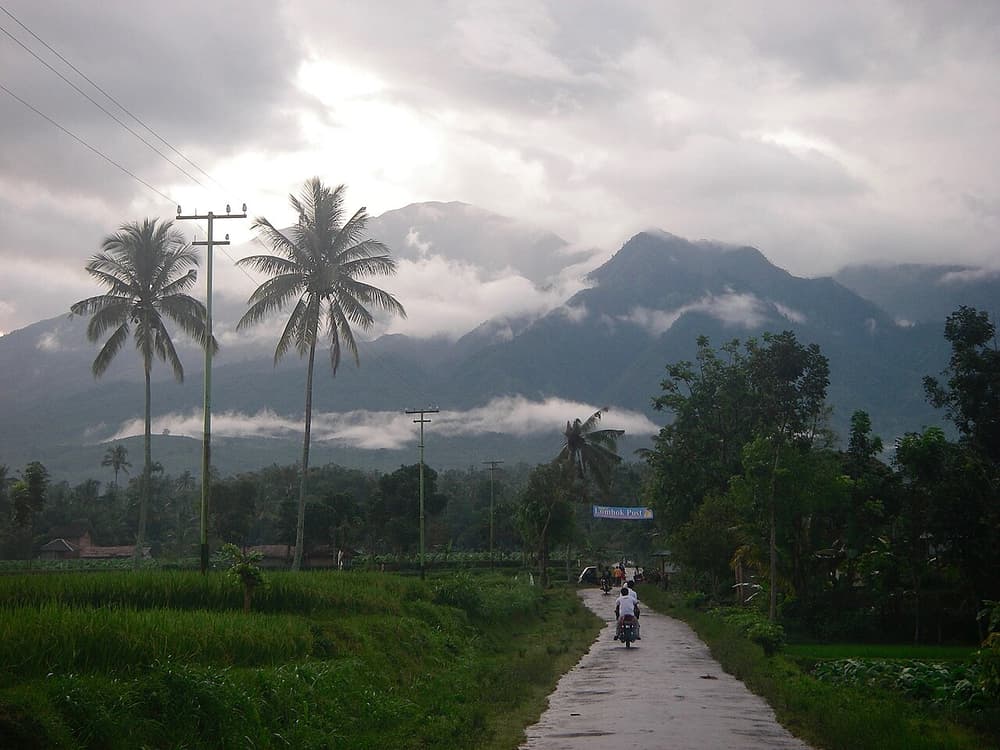 Tetebatu Rice Terraces & Benang Kelambu Waterfalls